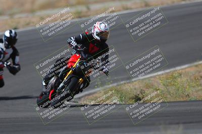 media/May-09-2022-Moto Forza (Mon) [[0226cf3505]]/Group B/B 1020am/